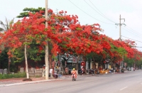 Lắp Mạng FPT Tại Tỉnh Hải Phòng