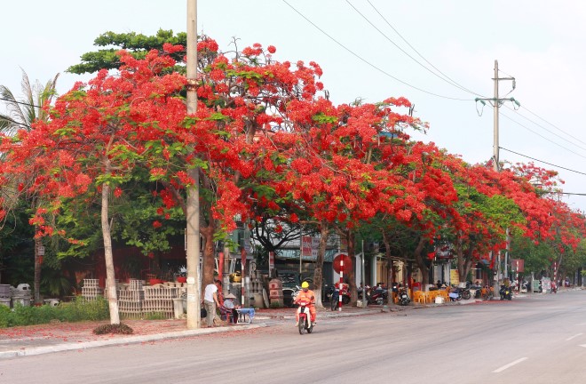 lap mang fpt hai phong